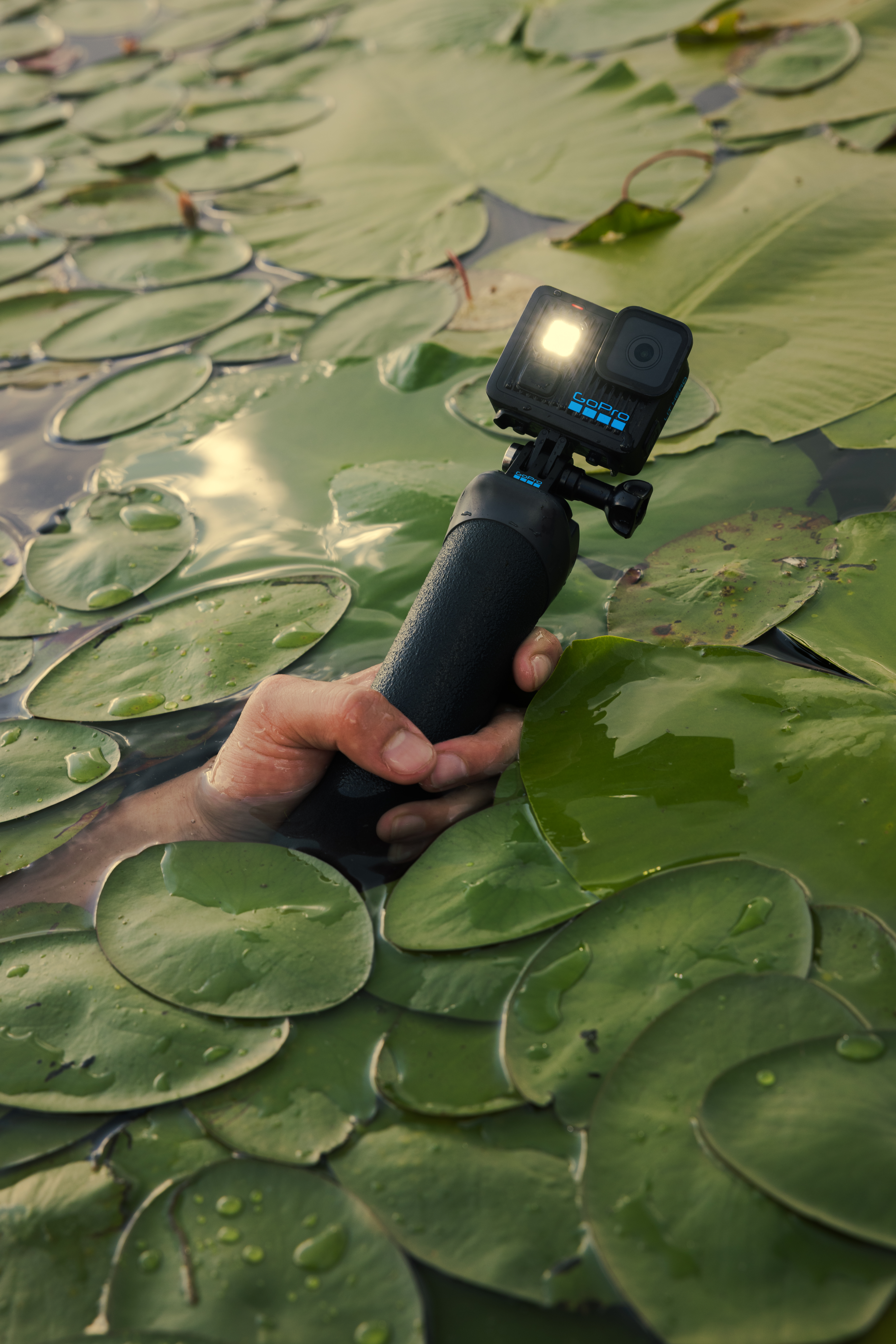 [Texto descriptivo de la imagen]